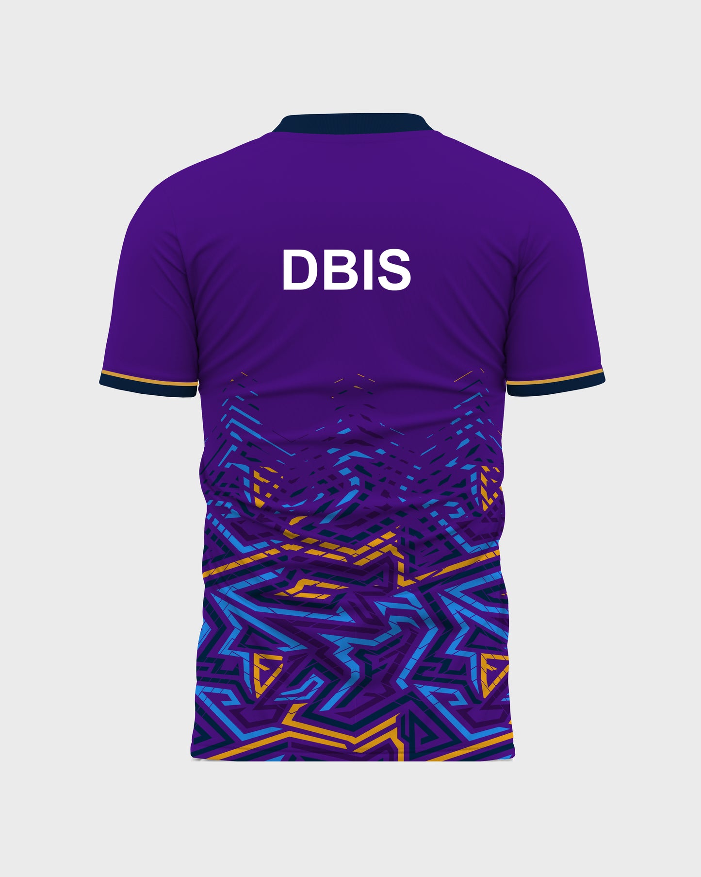 Amethyst House Tee - Don Bosco School