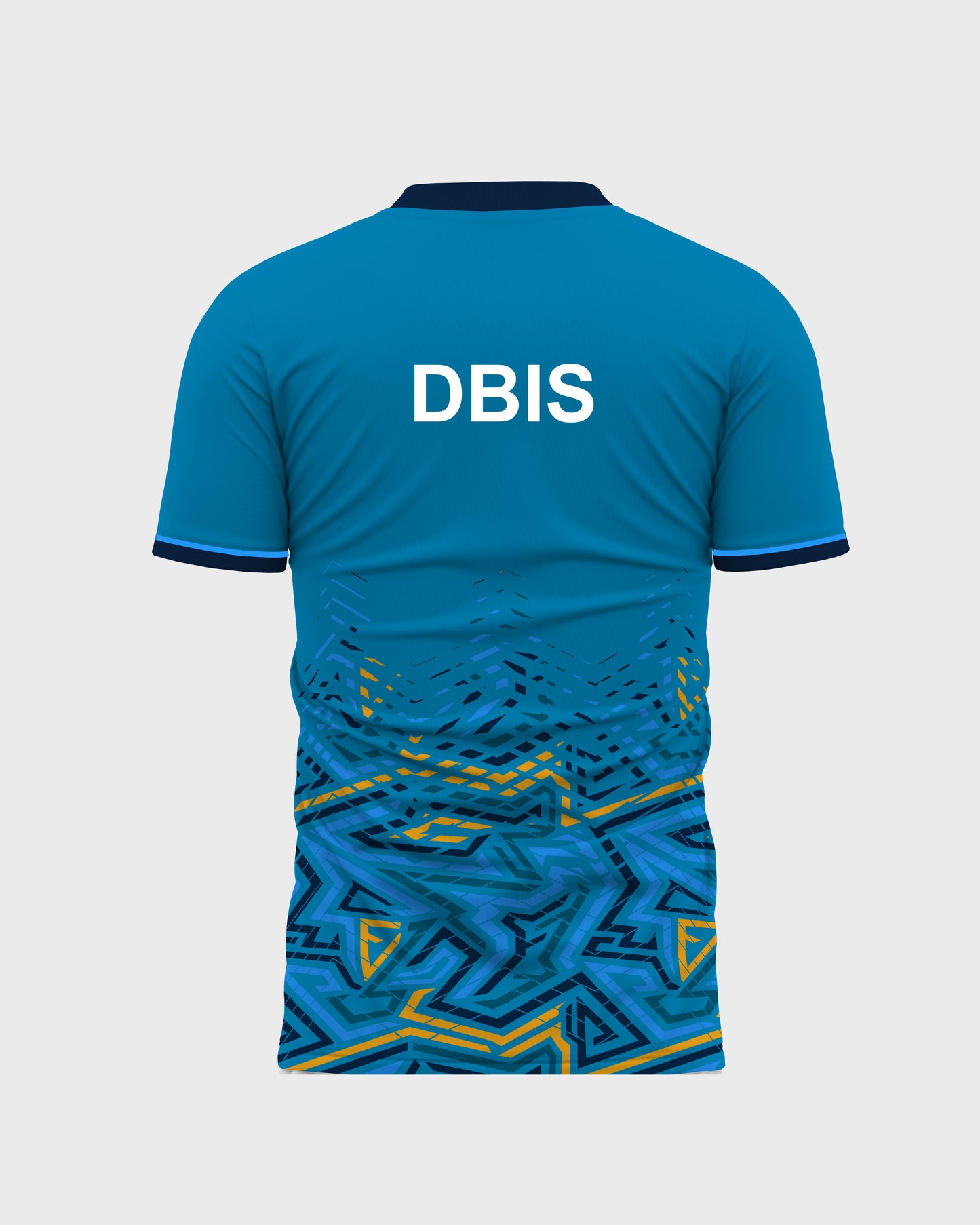 Sapphire House Tee - Don Bosco School