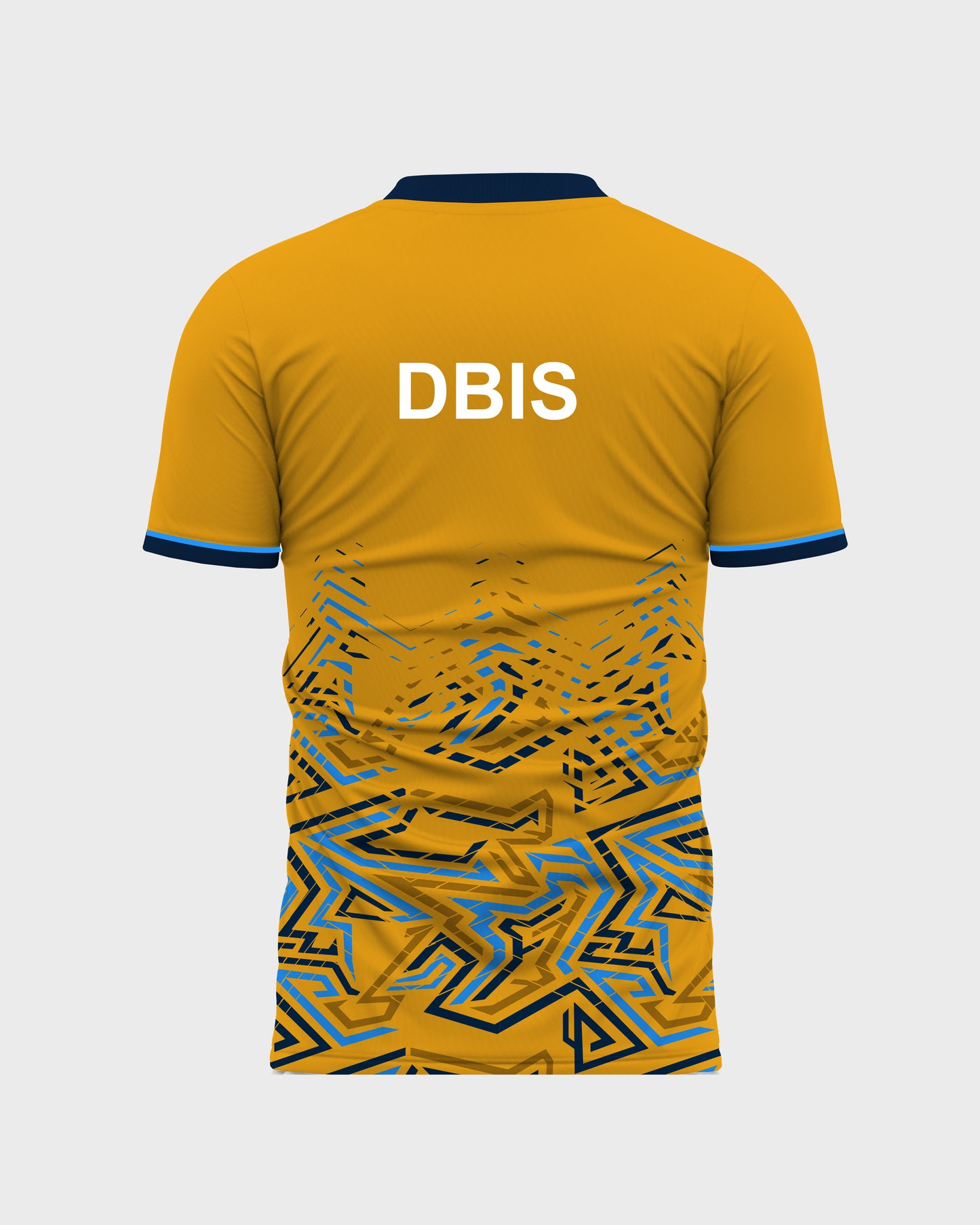 Citrine House Tee - Don Bosco School